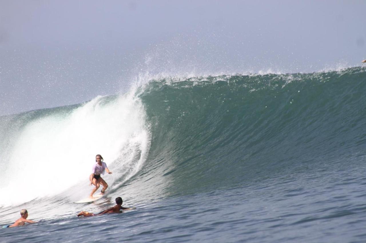Medewi Secret Surfcamp Hotel Pulukan Exterior foto
